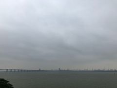 -大湾区中央湿地公园