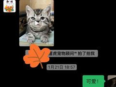 -屋虎猫馆(宝安大仟里店)