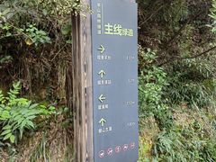 -杭州半山国家森林公园