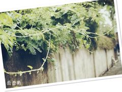 -鼓浪屿钢琴博物馆