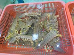 -渔民新村(番禺总店)