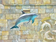 -新加坡水上探险乐园