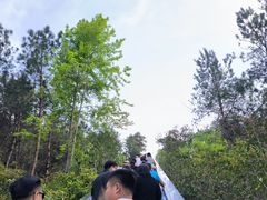 -千岛湖天屿景区