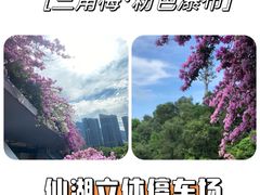 -深圳仙湖植物园