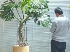 -老吉堂上海本帮菜(工体店)