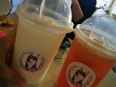 -Husky Go! 哈士奇体验馆·宠物咖啡厅狗咖