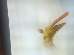 -徽三说·土徽菜·中国徽菜连锁品牌(一中店)