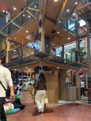 -卡通尼·Safari非洲探索乐园·生日会(金桥国际商业广场店)