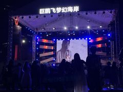 -巨鹏飞梦幻海岸