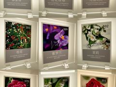 -名创优品(天河区正佳广场二店)