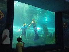 -北戴河圣蓝海洋公园
