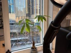 -VLines耀能运动Space&Flow(国贸店)