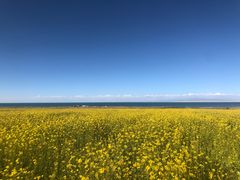 -青海湖国家重点风景名胜区