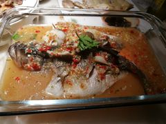-佬肥猫(国华广场店)