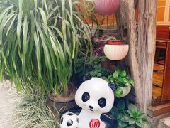 -符淼淼火锅(宽窄巷子店)