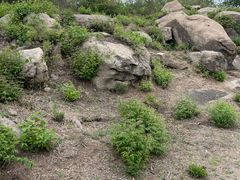 -白水寺森林公园