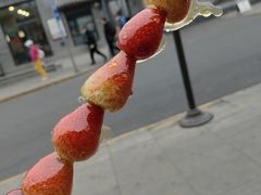 -香山公园