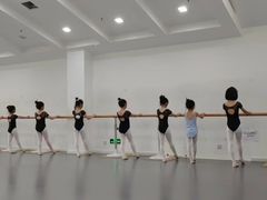 -西安小天鹅艺术团(曲江Alice店)