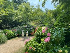 -上海共青森林公园