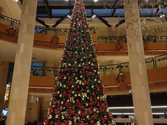 -喜来登由由大酒店九州膳坊中餐厅