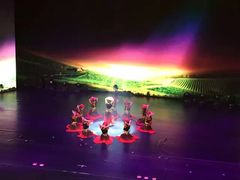-桃子公主舞蹈培训(万柳校区)