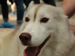 -TrueLove @ Neverland (Husky Cafe)