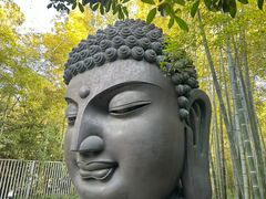 -杭州植物园