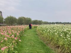 -漩门湾国家湿地公园