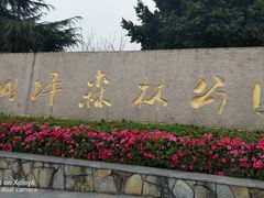 -铁山坪森林公园