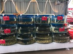 水产区-叶存利海鲜大馅饺子(东戴河止锚湾店)