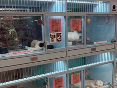 -FAELING PETS美天灵宠物(合生汇店)