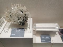 -安徽省地质博物馆