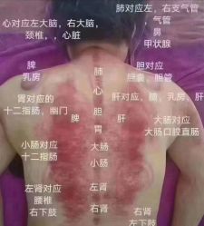 -丽减美瘦吧·减肥瘦身