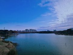 -昆山城市生态森林公园