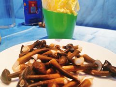 -千岛蚝高压锅生蚝·人参火锅(白云万达店)