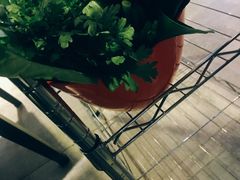 -福牛阁潮汕牛肉火锅