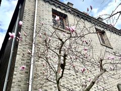 -青芝山风景名胜区