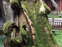 -太平天国侍王府