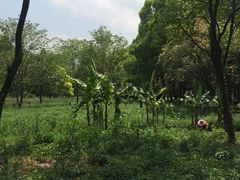 -花溪王记牛肉粉(四季花溪商场店)