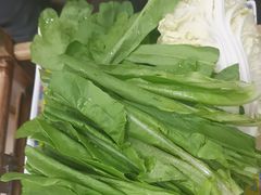 -芦月轩羊蝎子(北蜂窝店)