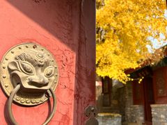 -南窖乡水峪村山情农家