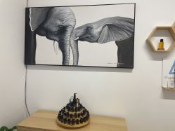 -Y+普拉提·轻抗阻·女子塑形