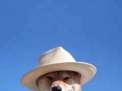 -大观园影院式足浴Spa店(沙坪坝店)