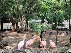 -黔灵山公园