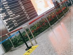 -石家庄正定国际机场-T2航站楼