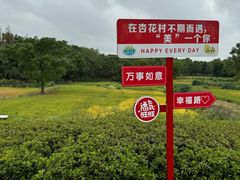 -杏花村文化旅游区