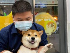 -帕帕拉兹宠物(亚洲旗舰店)