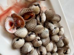 -华盛丰温州大排档(东三环南路店)