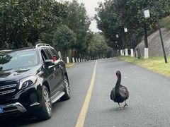-天目湖涵田半山温泉