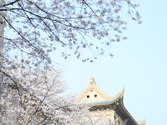 -武汉大学-樱园